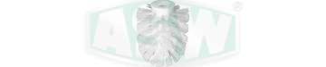 Spare brush head, white