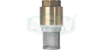 Check valves with filter